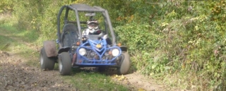  Escursione in buggy nella foresta 